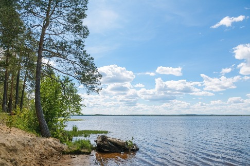 DSC_5682.jpg